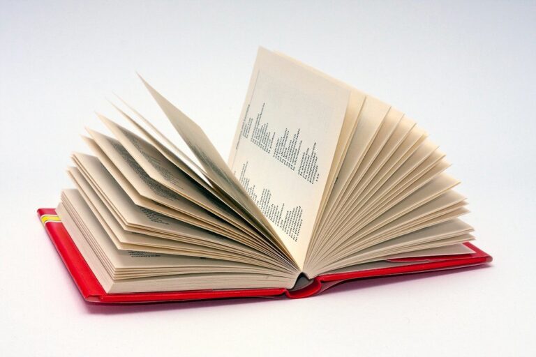 Dictionnaire ouvert avec pages en eventail, illustrant les options et langues au bac